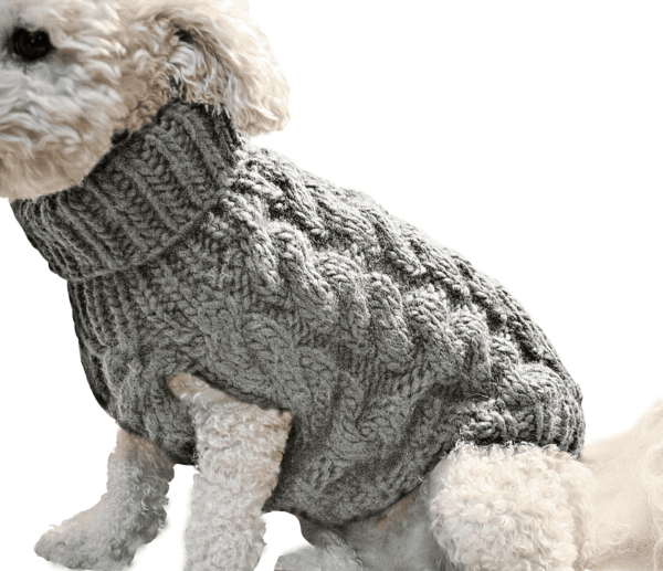 Chaleco Para Perro O Gato Pequeño
